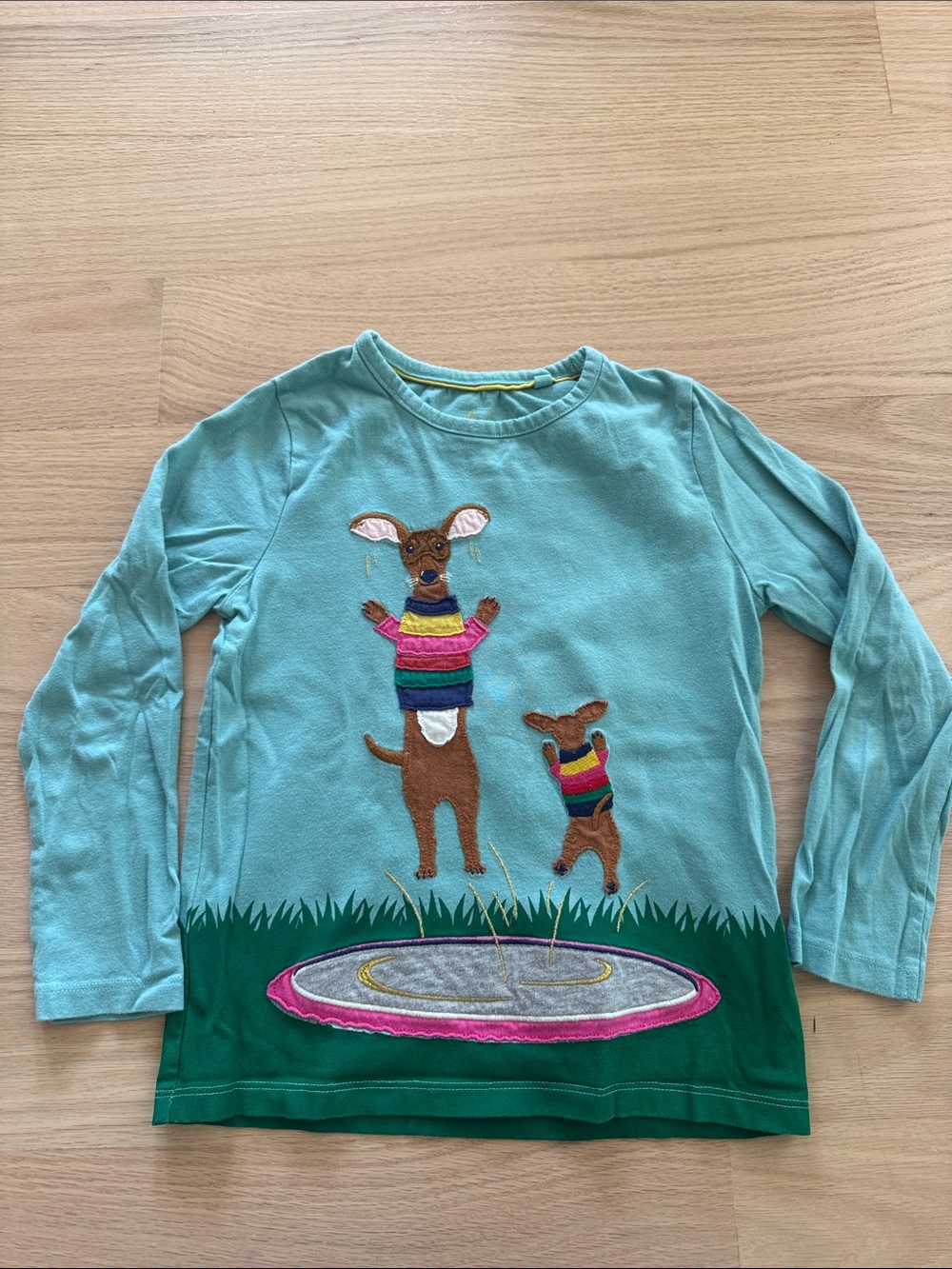Mini Boden | Teal Long-Sleeve Top with 🦘 kangaroo Appliqués